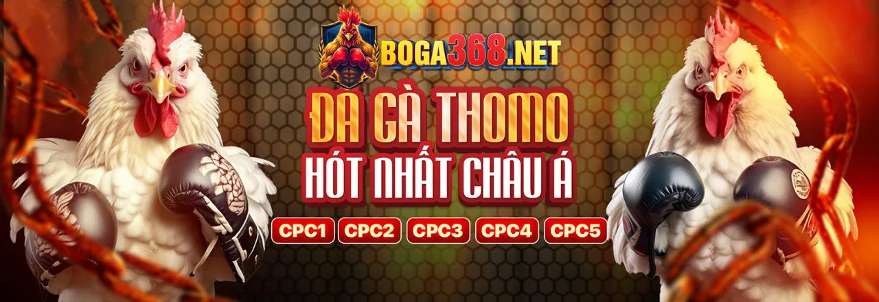 Đá Gà Trực Tuyến Kimsa88